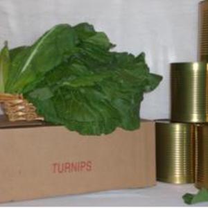 GCI Turnip Greens — GCI's own product photo