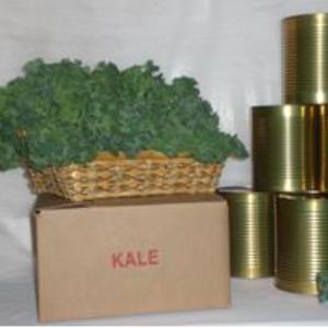 GCI Kale — GCI's own product photo