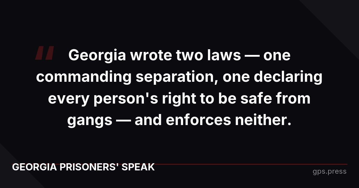 Georgia wrote two laws — one commanding separation, one declaring every person's right to be safe from gangs — and enforces neither.