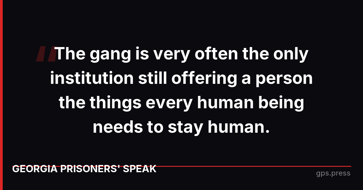 The gang is very often the only institution still offering a person the things every human being needs to stay human.