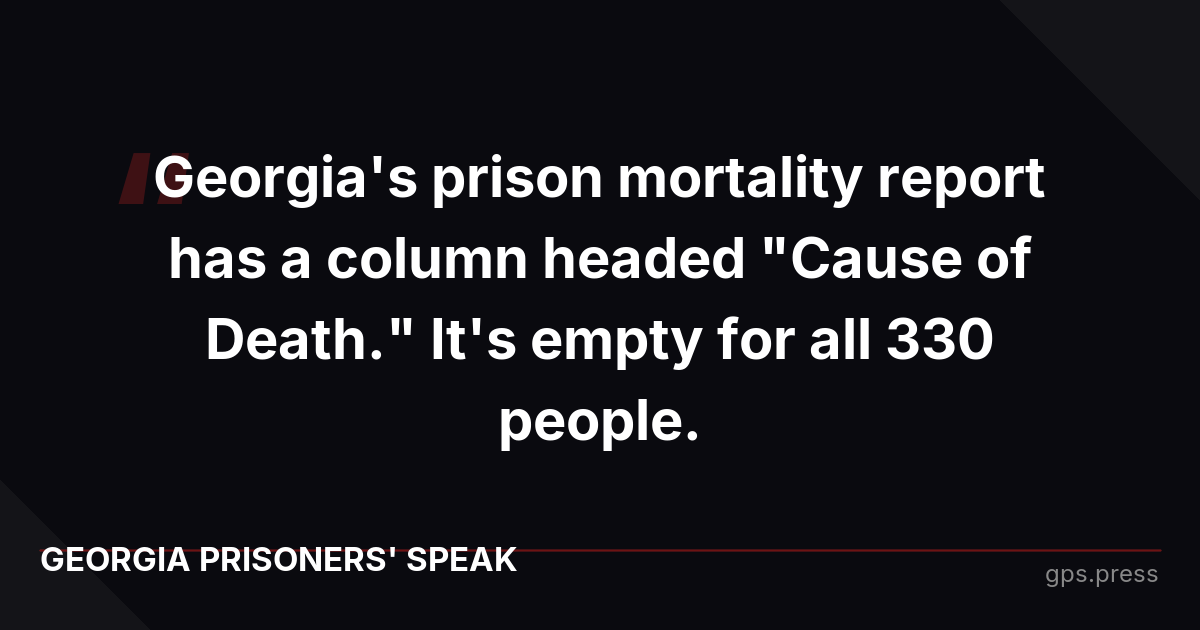 Georgia's prison mortality report has a column headed "Cause of Death." It's empty for all 330 people.
