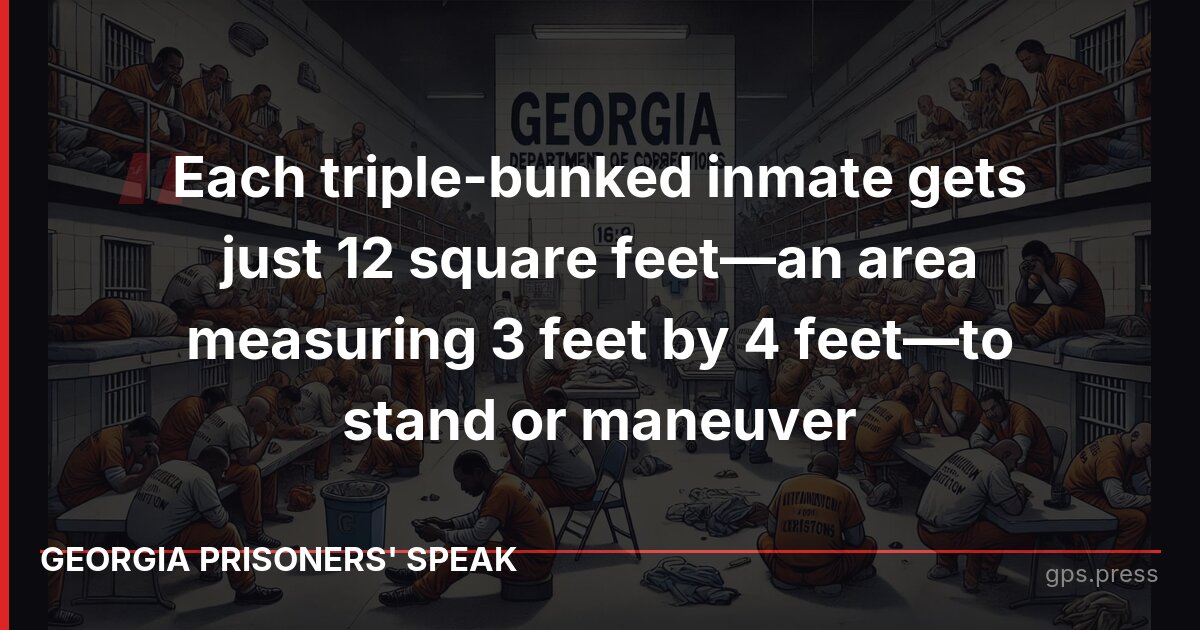 Each triple-bunked inmate gets just 12 square feet—an area measuring 3 feet by 4 feet—to stand or maneuver