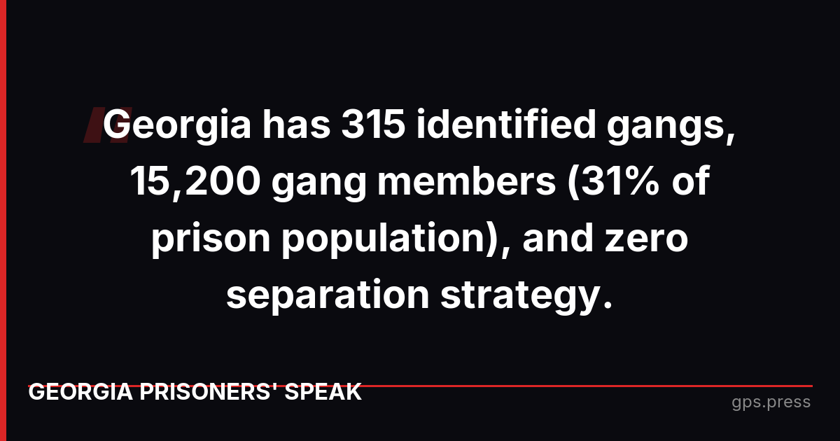 Georgia has 315 identified gangs, 15,200 gang members (31% of prison population), and zero separation strategy.
